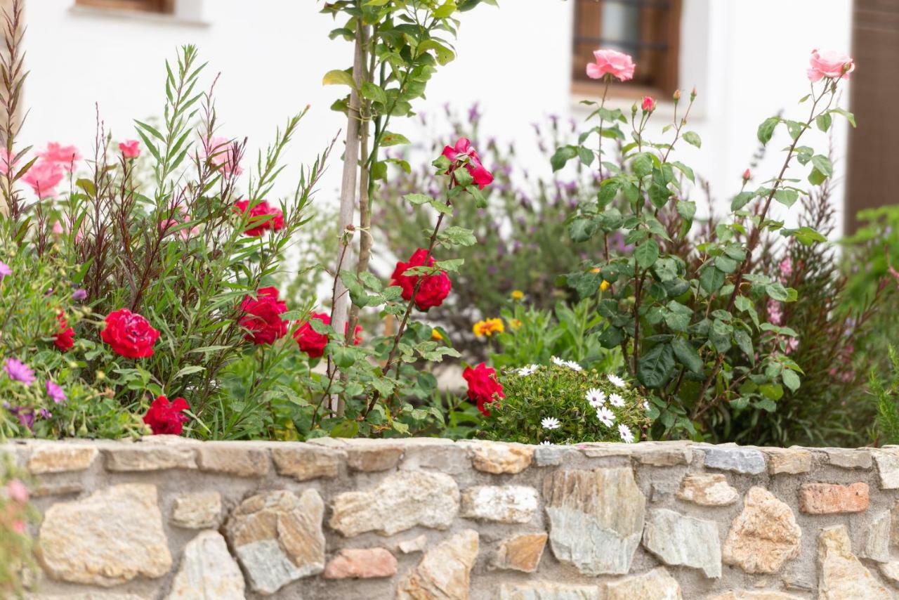 شقة Garden House Psarogiannis فوروفورو المظهر الخارجي الصورة